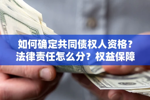 济南如何确定共同债权人资格？法律责任怎么分？权益保障技巧揭秘！