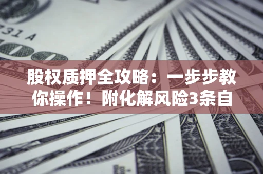 济南股权质押全攻略：一步步教你操作！附化解风险3条自救法则