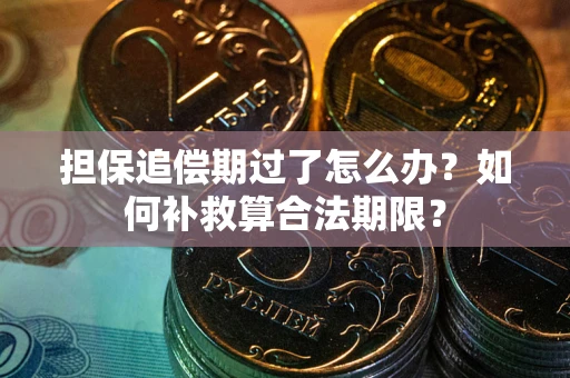 济南担保追偿期过了怎么办？如何补救算合法期限？
