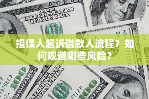 济南担保人起诉借款人流程？如何规避哪些风险？