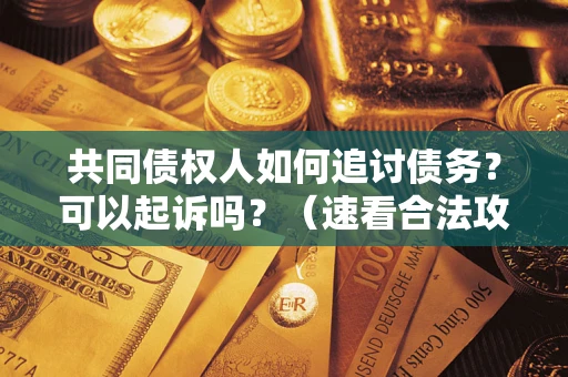 济南共同债权人如何追讨债务？可以起诉吗？（速看合法攻略）