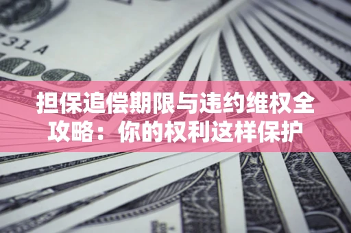 济南担保追偿期限与违约维权全攻略：你的权利这样保护